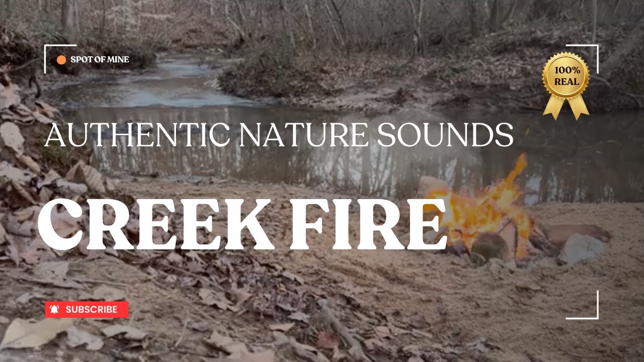 Campfire Beside the Creek - No AI, Just Nature | Creek Life