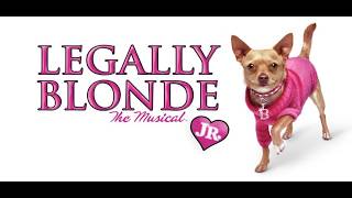Legally Blonde Jr The Musical