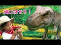 【寸劇】逃げ出した恐竜を捕獲せよ！ジュラシック祭り！！【全力きっずTV】Dinosaur story