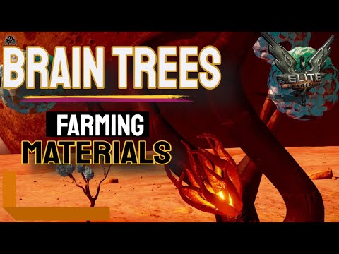 Brain Trees and Farming Materials | Elite Dangerous