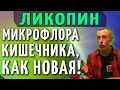 1 ЛИКОПИН БЛЮДО И МИКРОФЛОРА КИШЕЧНИКА, КАК НОВАЯ! Народные рецепты, пшеница, перец, куркума, чеснок