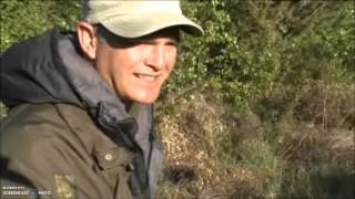 Adders on Springwatch (2010)