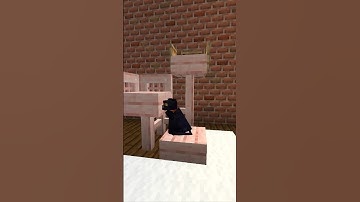 Minecraft Cat Tree Tutorial 🐈‍⬛🐱 #minecrafttutorial #minecraft