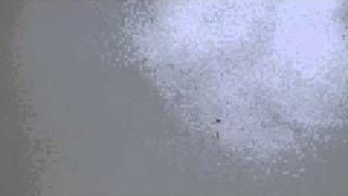 Cansat launch 2010 - 't Harde The Netherlands