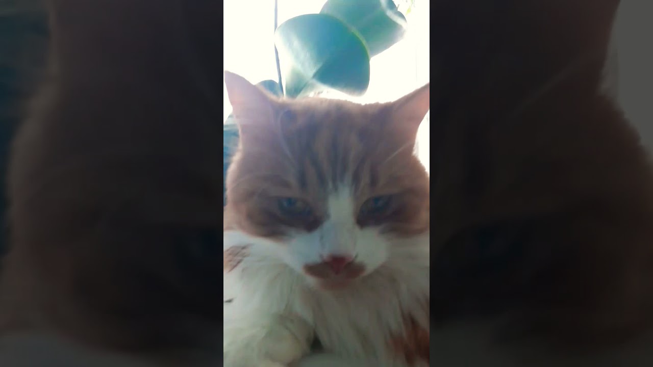 2 января 2022 г.