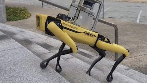 Delivery robots coming to UT Austin campus for 5-year study