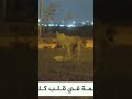 معني الوفاء 