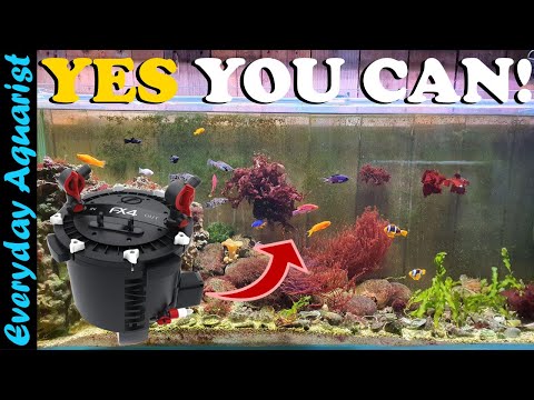 CAN you Run