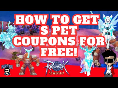 How to redeem S Pet Coupons for free! Batch 17 Ragnarok Origin Codes for you!