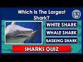 Shark Knowledge Quiz