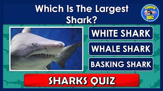 "SHARKS" QUIZ! 🦈| How Much Do You Know About "SHARKS"? | Animal Trivia