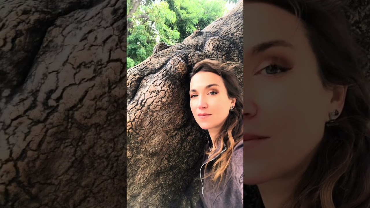 Said the Tree - Original Song (Voice & Cello) | Joanna d'Arc