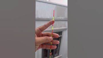 Phao Câu Cá Rô Phi #fishing