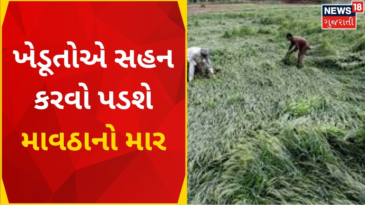 gujarat-weather-news-unseasonal