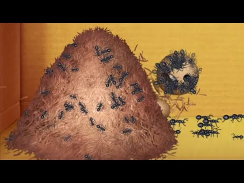 ANTHILL vs The Buddy | ANIMALS vs The Buddy | Kick The Buddy