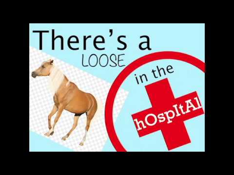 hospital horse