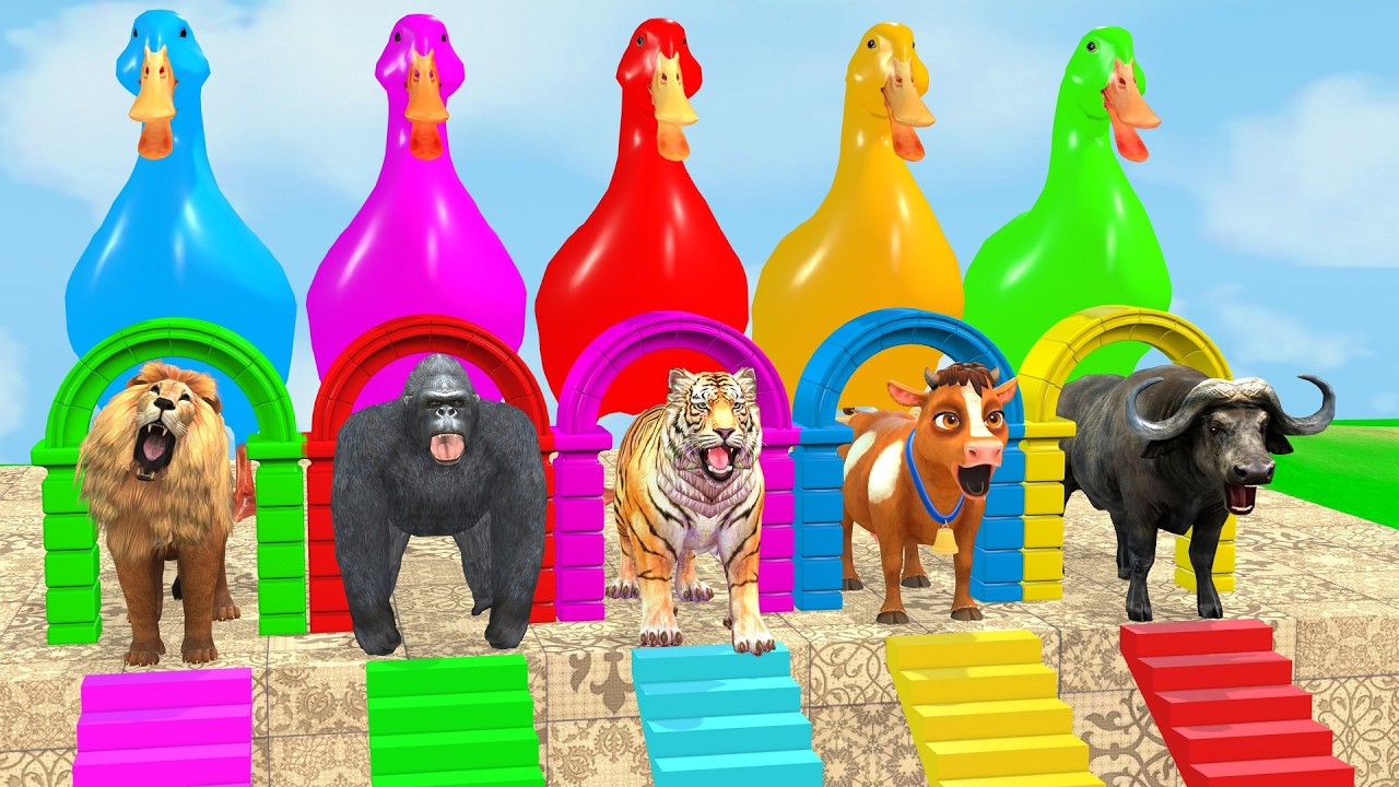 Long Slide Game With Cow Elephant Gorilla Hippopotamus Tiger 3d Animal Game Funny 3d AnimalsVideo