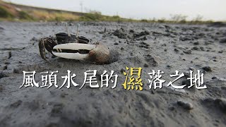 【濕地危機】風頭水尾的「濕」落之地｜彰化海岸濕地陸化危機 (我們的島 1136集 2021-12-20)