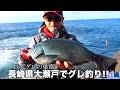 【巨大グレの巣窟】人気急上昇エリア!!長崎県大瀬戸でグレ釣り!!