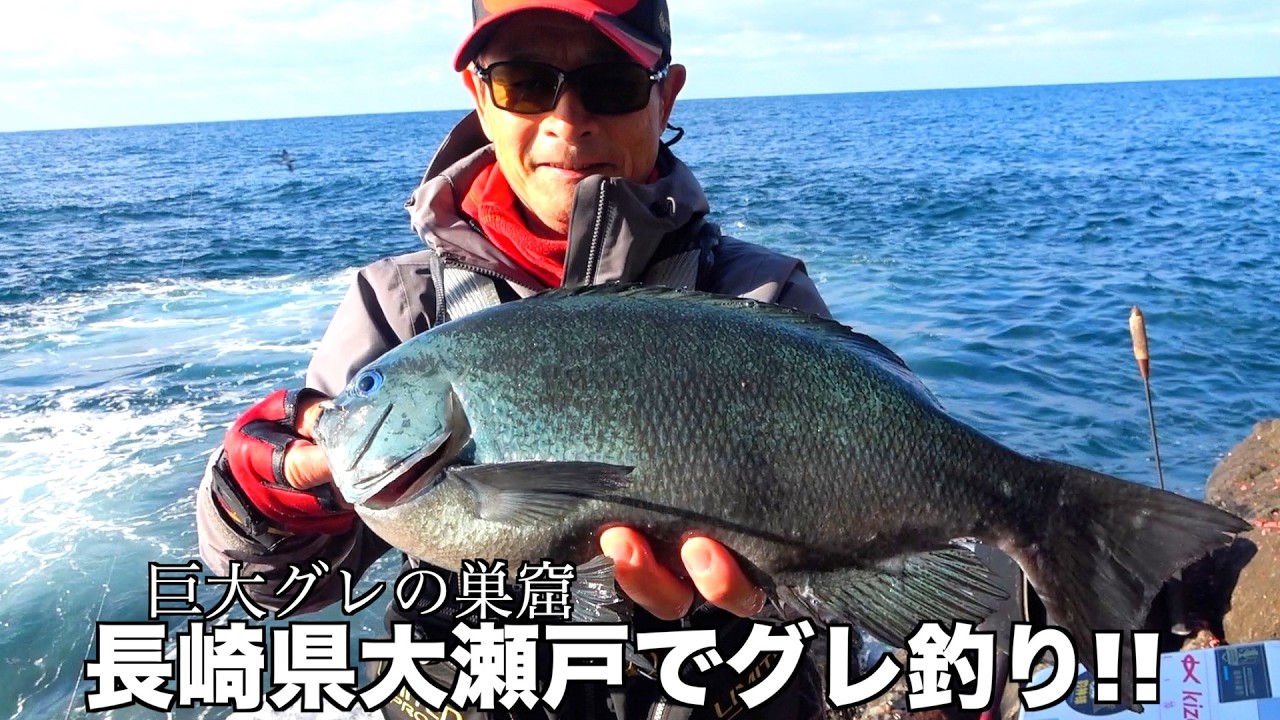 【巨大グレの巣窟】人気急上昇エリア!!長崎県大瀬戸でグレ釣り!!