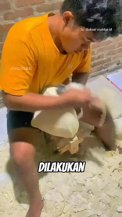 How to make a slondok #slondok #facts