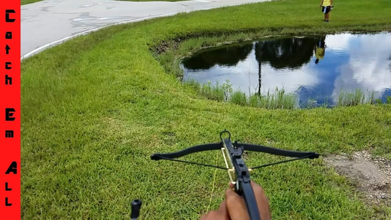 Mini CROSSBOW FISHING: SLOW MOTION SHOTS! New Spiderman Wrist reel