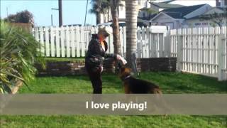 Celebrity Razzle Dazzle - Available for Adoption Net Worth