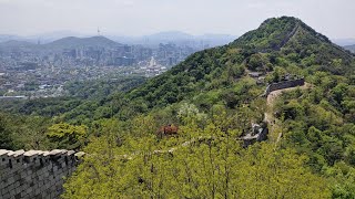 5월의 서울 북악산 남측탐방로 힐링영상(자막)|Healing video on the southern tour of Bukaksan Mountain in Seoul in May