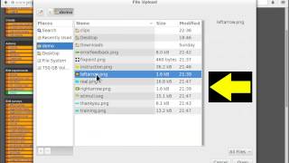 project: stimuli upload