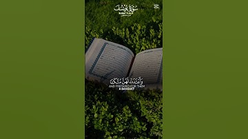 سورة  يوسف  عامر السعيدي #الخير #اكسبلور #قرأن