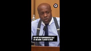 Famous GOP Rep on 'reinvigorated talk' of Jim Crow: 'Slavery is over' Wealth