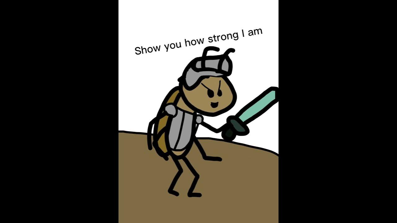 i-put-my-armor-on-cockroach-meme-credits-to-nutshellanimations-and