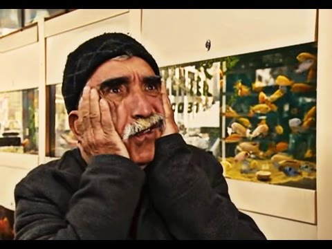 Usman Aga Japon Balıklarıyla Elmas Hırsızlığı mı Yapıyor? | Full Macera | 105. Bölüm