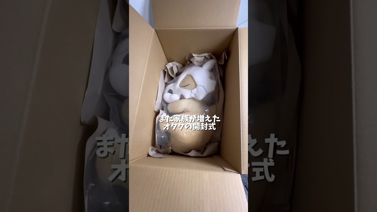 ポケモンセンターでぬいぐるみを購入→箱を開けたら……「この入れ方ズル 