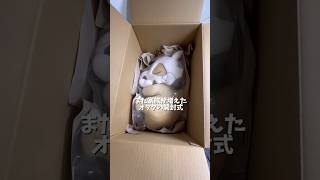 【ポケモン】また家族が増えたオタクの開封式　#ぬいぐるみ  #カラカラ  #グッズ開封  #開封動画