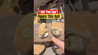 Can You Guess Which One Is a 20 MILLION Year Old Animal? 😱 #animals #nature #shorts
