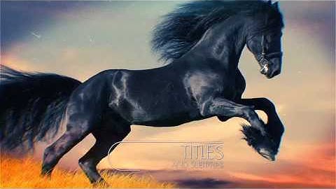 Cooking Show Programe Pack - After Effects Template (Mega Pack) | VideoHive 18953887