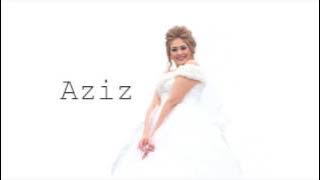 Aziz & Hayat - Wedding / Diashow #MirVideo Production ®