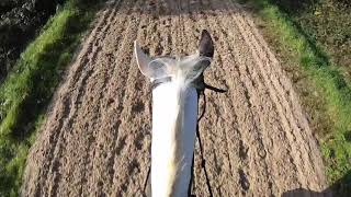 Hacking Out GoPro | Equinemaddie