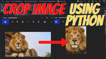 how to crop a image using python (python pillow tutorial #3)