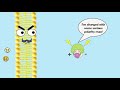 Cell Membrane Dynamics and Transport Mechanisms