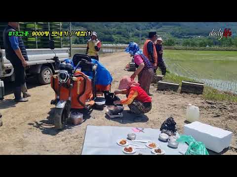 #13고흥_9000평 모내기 / 새참(1)