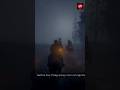 One Of the Most Realistic Games Ever Made : Red Dead Redemption 2 Gameplay #shorts #games #rdr2
