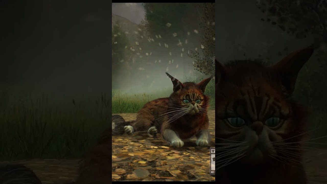 Hogwarts Legacy - Our New Favorite Pet Kneazle