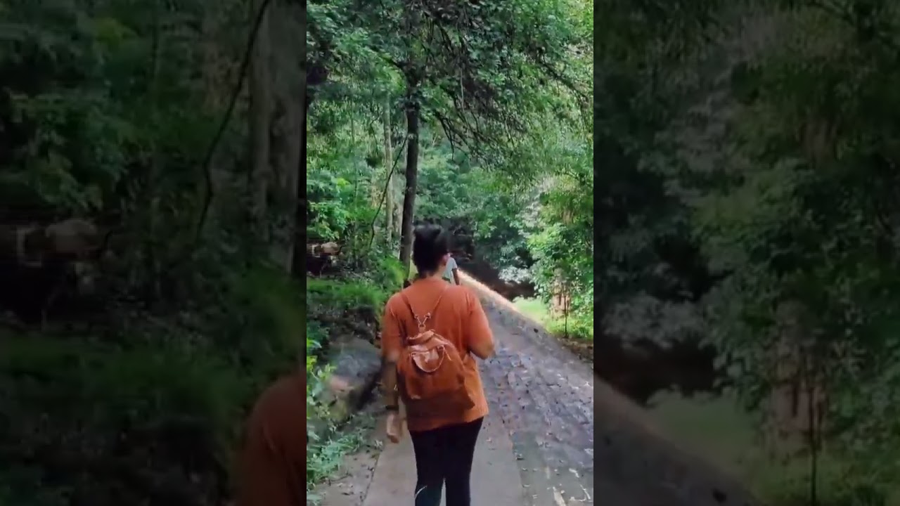 Hidden Gem of the Week – Ritigala Forest Monastery