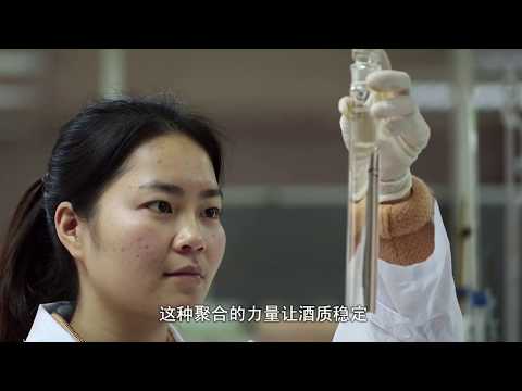 石湾酒厂集团介绍 shiwan distillery profile