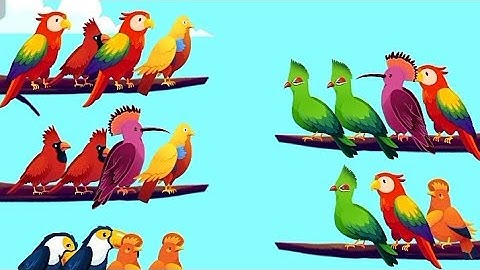 Bird Sort - Color Puzzle - Gameplay  All Level 1