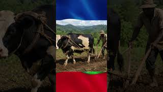 Haiti 2026 world cup #football #music #haiti #caribbeanmusic #worldcup #fifaworldcup
