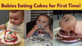 Baby First Cake Compilation Videos - Including Babies Smash Cake DISASTERS!
