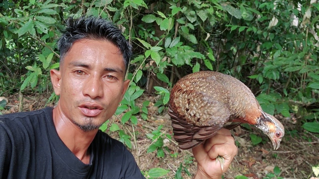 POKOKNYA HUTAN INI MASIH ISTIMEWAA😍
